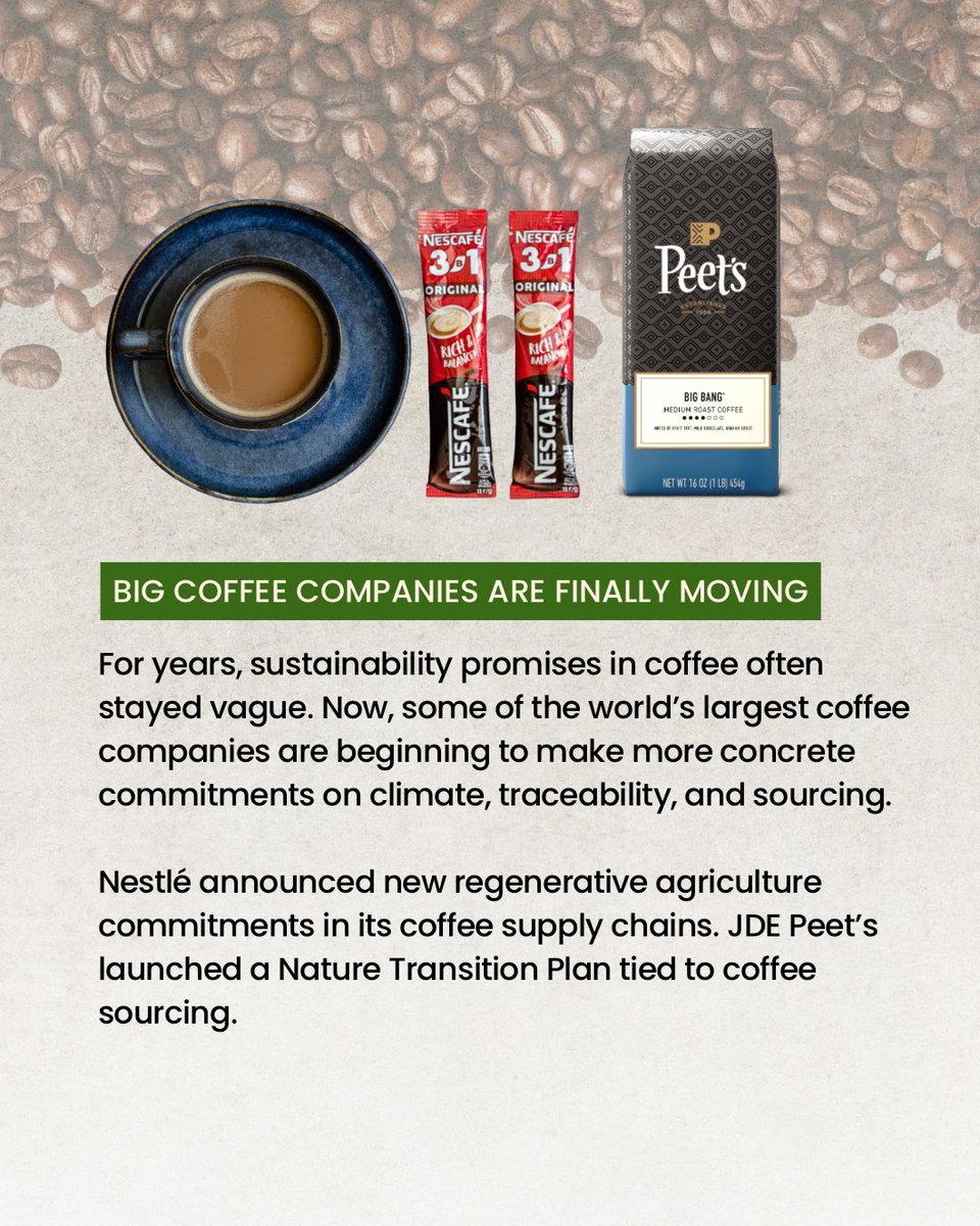 coffeewatchorg's tweet photo. Feeling overwhelmed by the headlines? ☕ Here are 4 positive changes happening in coffee—from deforestation monitoring and farmer support programs to global mapping and stronger sustainability commitments. 🌱

Check out the full newsletter and subscribe to get updates on all good coffee news: https://t.co/61S2rlWtIW