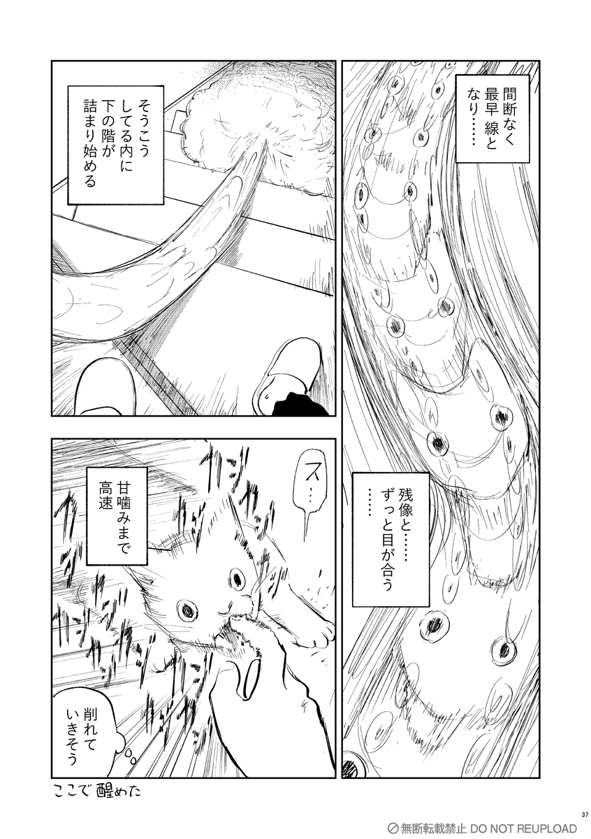 2025年8月5日に見た夢 #ここで醒めた 