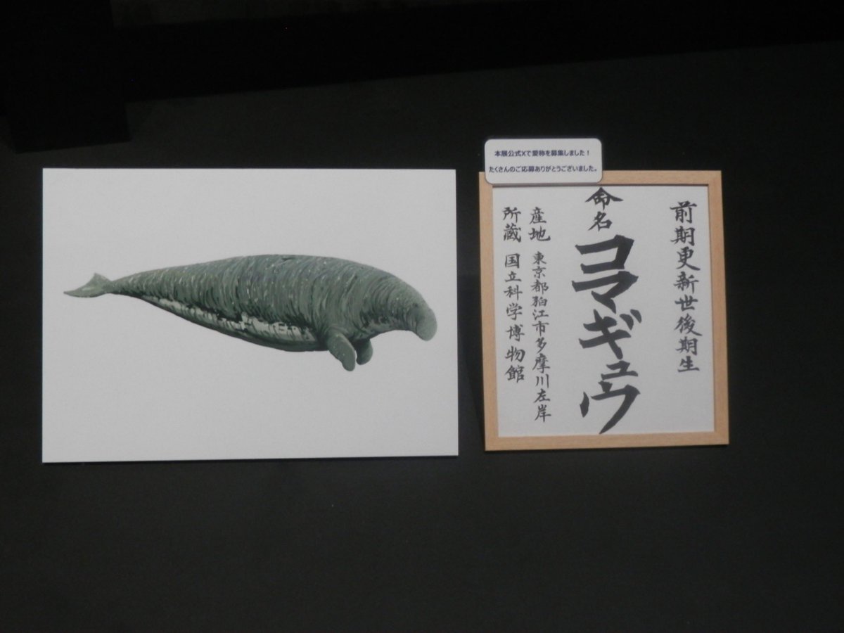 taanun28's tweet photo. 気晴らしの日🦕⸒⸒…
絶滅展ロマンが詰まっていた˚.🦴 ᵎᵎ https://t.co/luopVWbYOZ