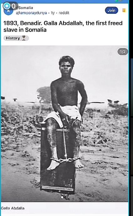 Fano አመለወርቅ tweet media