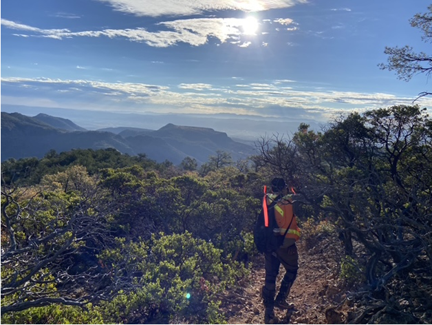 Pacifica_Silver's tweet photo. Another productive day of mapping and sampling for the Pacifica Silver geology field crew at our Claudia silver-gold project in Durango, Mexico.  

Working in stunning rolling hills under perfect weather, we continue to advance our understanding of this highly prospective terrain.  The Claudia Project continues to show excellent exploration potential for silver-gold mineralization.  

We’re truly fortunate to explore in such beautiful country.  🌄

$PSIL.CN $PAGFF #PacificaSilver #silverexploration
