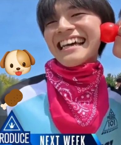 あちsuke照井康祐スポはウソ tweet media