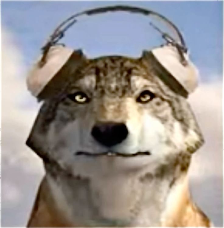 Permanent_Bark's tweet photo. @drifthuntrotter https://t.co/8Ee8NzXSQ1