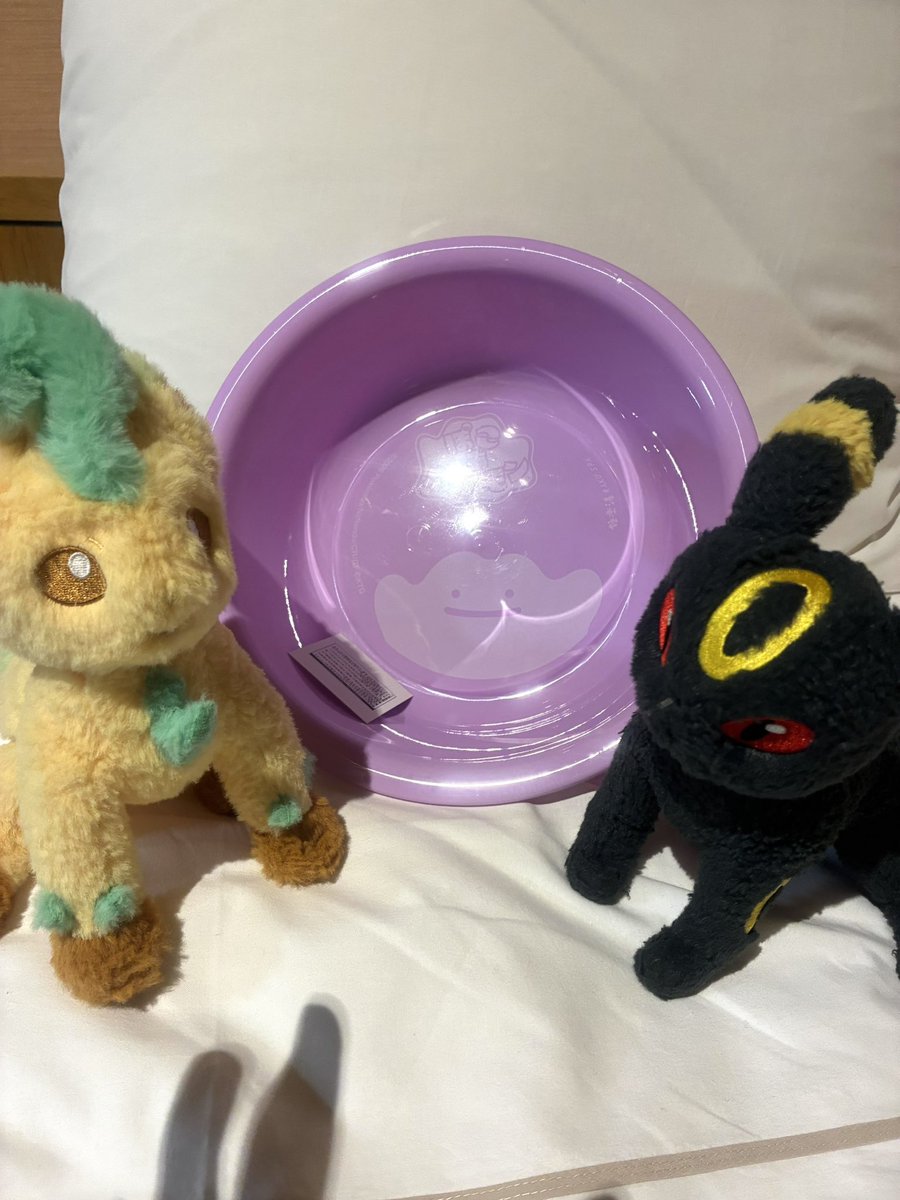 moniyomoniyo7's tweet photo. 本日のポケグッズ！
実は昨日近場プチ泊まり！
何故近場で泊まるのか！？
ダラダラ泊まり気分でゲームなり温泉なりしたいなとちょっと変わった休日を過ごすことあります😳
昨日の極楽湯ポコアコラボでゲットした洗面器とタオル入手！
メタモン洗面器1番欲しかったので残ってたのがビックリです😳 https://t.co/se3dYfM3O8