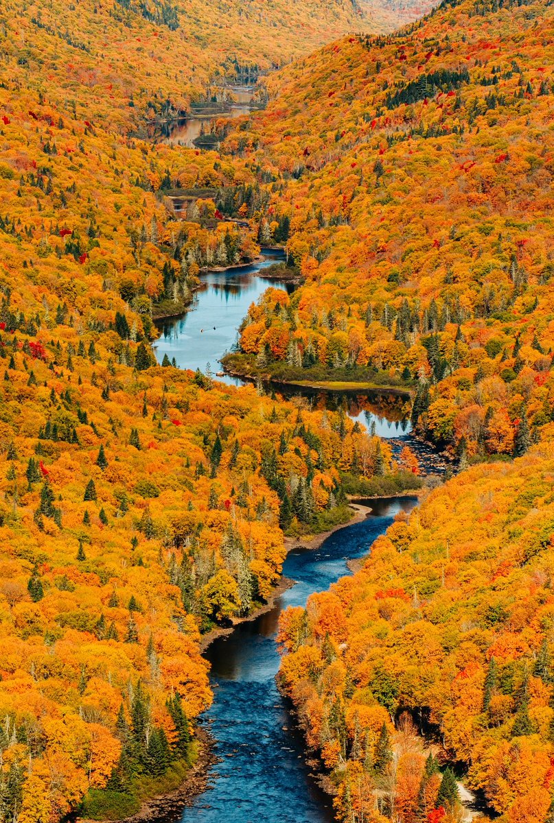 Oi_On_Ya's tweet photo. 📌Jacques-Cartier National Park Quebec Canada. https://t.co/50SeJZiR4F