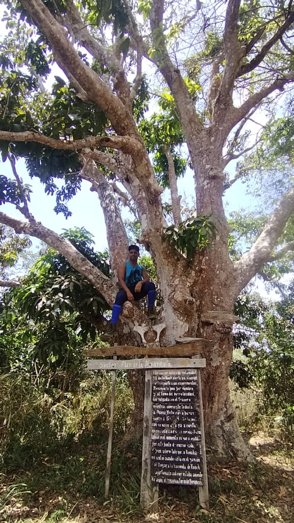 ascaniado's tweet photo. Que raro yo montado en algún lado🤣.
Y así dan la bienvenida a los visitantes. https://t.co/0tfFUUINxe