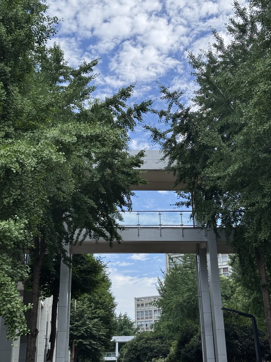 winter_melon028's tweet photo. 初夏的晨风 https://t.co/q7WaU6rKLX