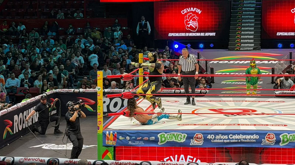 LaTijeraLucha's tweet photo. Lucha semifinal en match relámpago al estilo del #CMLL, donde los ánimos se encendieron y las manos se calentaron con intercambio de “manotazos”, un agarrón ente el bien y el mal, donde #StarJr cae ante el poder de #BlackTiger, en un duelo muy parejo🔥
#latijeraluchalibre https://t.co/teZkukVUdH