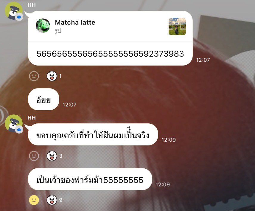 มัทเฉะลาต้า🍵 tweet media