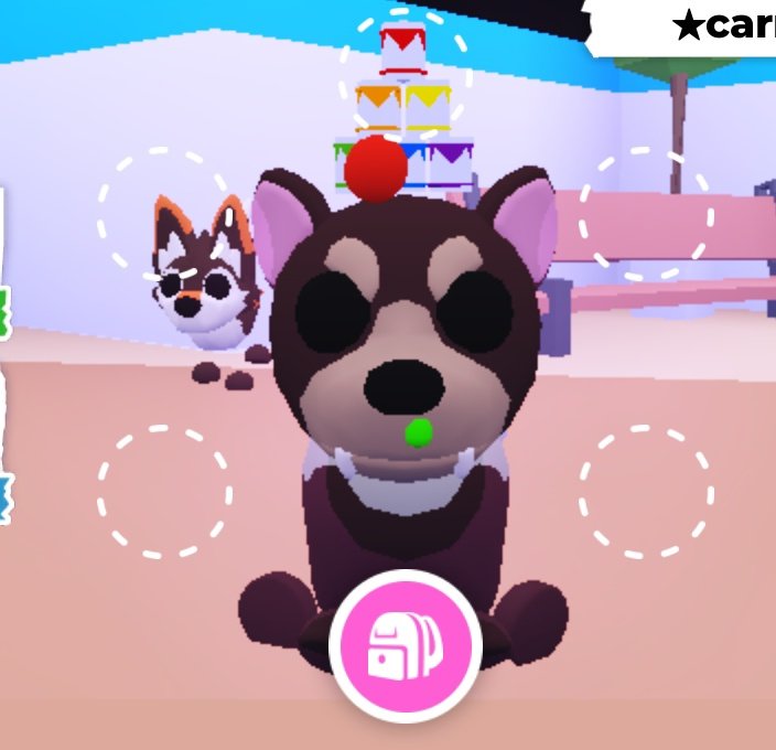 Buggii_'s tweet photo. Awww look at my tasmanian devil🥺🥺🥺🥺 https://t.co/SQAqyuu1L0