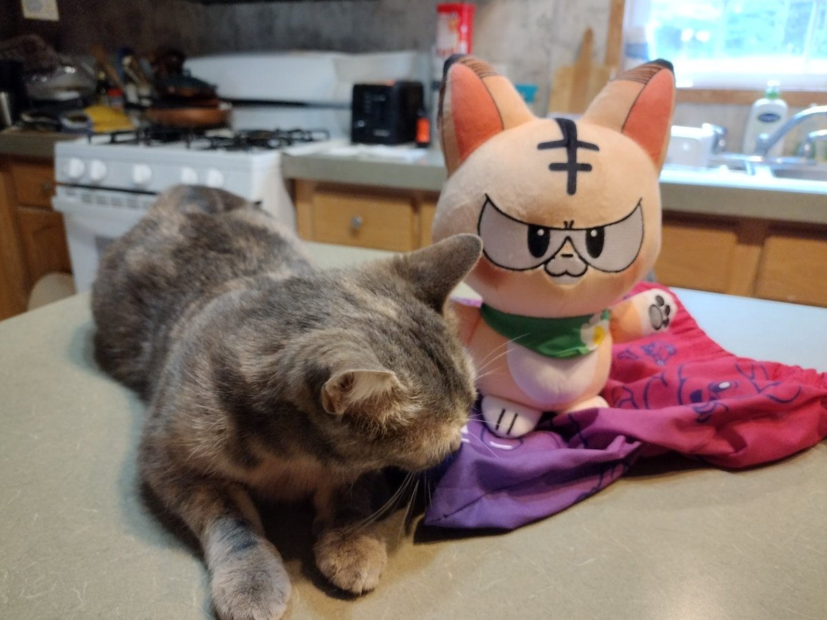strangefour's tweet photo. Daisy and her booty cheeks are here to hold my pens, thanks @osushichan6 
My own cat Silver kept inspecting her while I was trying to get pictures. https://t.co/KrUdaxLgbd
