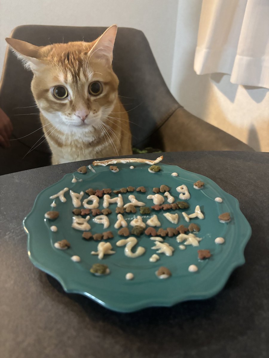 mmmmmugicha's tweet photo. おはにゃん&amp;おひさしぶりにゃん🐾
昨日はむぎちゃの2歳のお誕生日でした🎂
娘がプレートを作ってくれたよ🫶
むぎちゃもすんごい勢いで食べて���🧡
おめでとう〜♡

そして今日は台風🌀でお外は大荒れ💦
みなさん気をつけて過ごしてくださいにゃ🐾 https://t.co/MkED9YDrBW