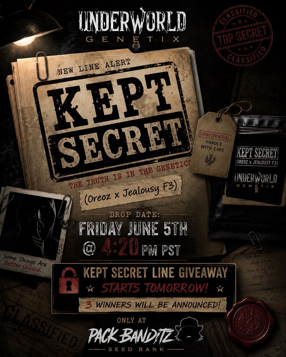 packbanditz's tweet photo. 🔒🤫 𝙆𝙀𝙋𝙏 𝙎𝙀𝘾𝙍𝙀𝙏 𝙇𝙄𝙉𝙀 🤫🔒
(𝙊𝙧𝙚𝙤𝙯 𝙭 𝙅𝙚𝙖𝙡𝙤𝙪𝙨𝙮 𝙁3)
𝘽𝙧𝙚𝙙 𝘽𝙮: @UnderworldGenetix 🧬

🚨📁 𝙉𝙀𝙒 𝙇𝙄𝙉𝙀 𝘼𝙇𝙀𝙍𝙏 📁🚨

🔥 Exclusive new line from Underworld Genetix

⏰ 𝘿𝙍𝙊𝙋𝙎:
Friday, June 5th @ 4:20PM PST

🎉 𝙆𝙀𝙋𝙏 𝙎𝙀𝘾𝙍𝙀𝙏 𝙇𝙄𝙉𝙀 𝙂𝙄𝙑𝙀𝘼𝙒𝘼𝙔
🚀 Starts Tomorrow!
🏆 3 Winners Will Be Announced!

⚠️ Don’t miss your chance to get in on one of Underworld’s most anticipated new releases.

🦝 Only At Pack Banditz Seed Bank

🔗 https://t.co/WNt7sa74cx