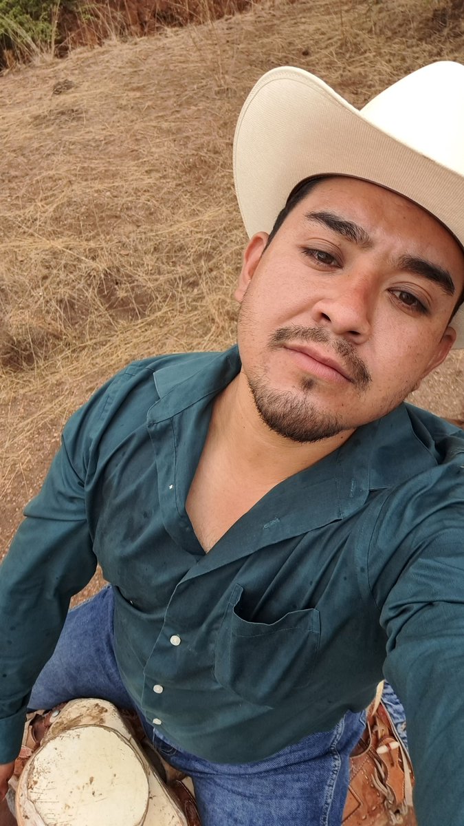 AlxAlvP's tweet photo. El sauce y la palma. https://t.co/yAOEg93Mza