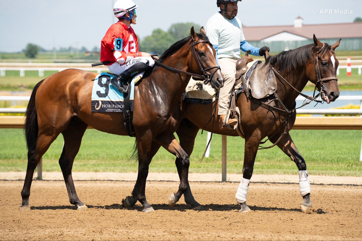 TOBAIndiana's tweet photo. William Henry Harrison Handicap field continued (3/3)

8. Mackadoo
9. Slam Dunk Justice ✨

🏆 - ITOBA champion
✨ - ITOBA Sale grad https://t.co/YK6AV4vovE