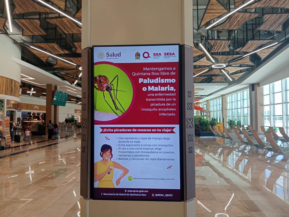 SESA_QROO's tweet photo. #QuintanaRoo mantiene de forma permanente la vigilancia epidemiológica internacional en aeropuertos, puertos y terminales marítimas.

Personal de Sanidad Internacional supervisa la llegada de pasajeros, tripulaciones y medios de transporte para proteger la salud de la población. https://t.co/3yaIqOGouV