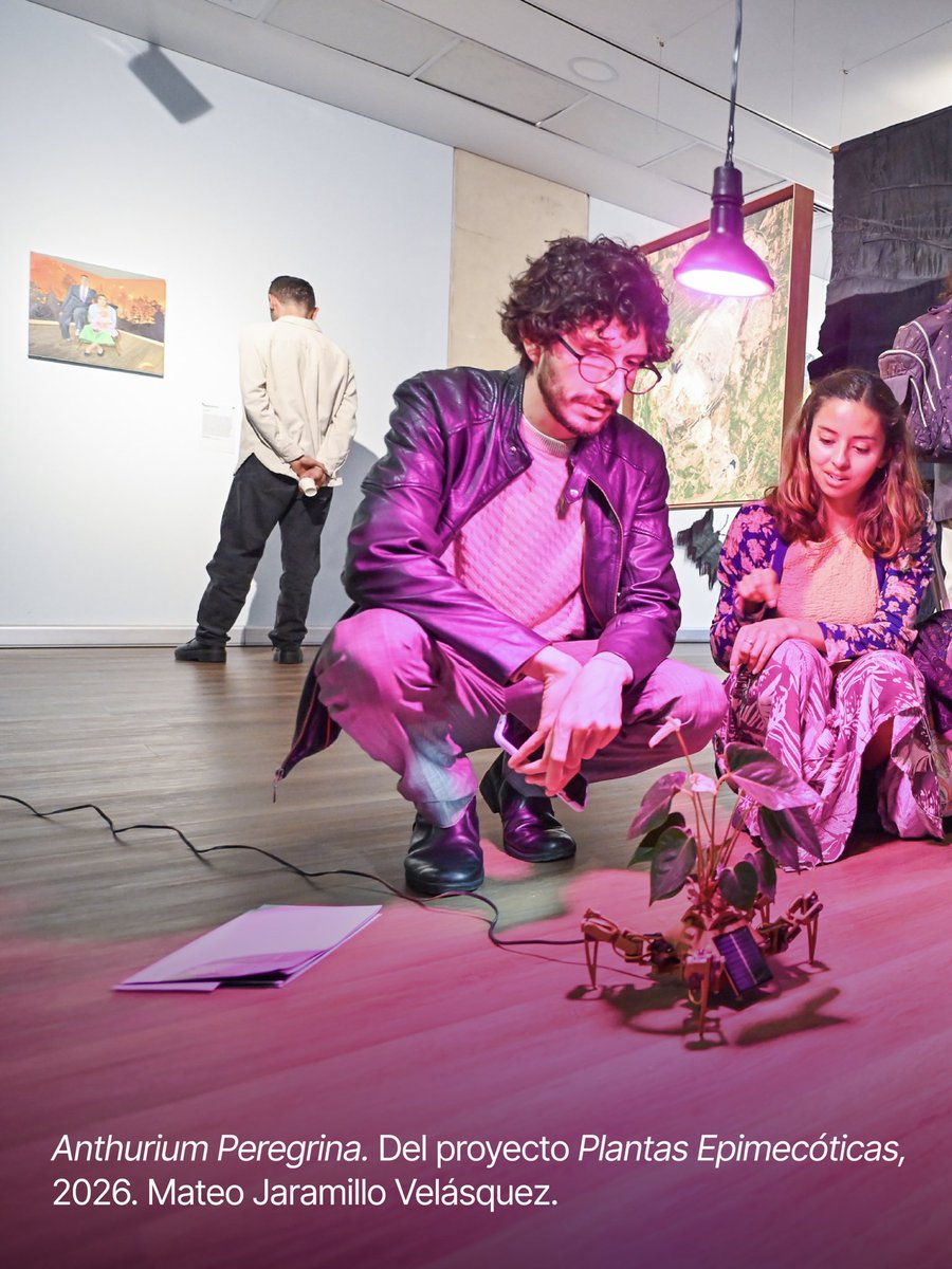 programaARTBO's tweet photo. Visítala hasta el 6 de agosto en la @camaracomerbog Sede Salitre (Av. El Dorado #68 D–35, piso 2). Entrada sin costo. https://t.co/6bZyYcFByp