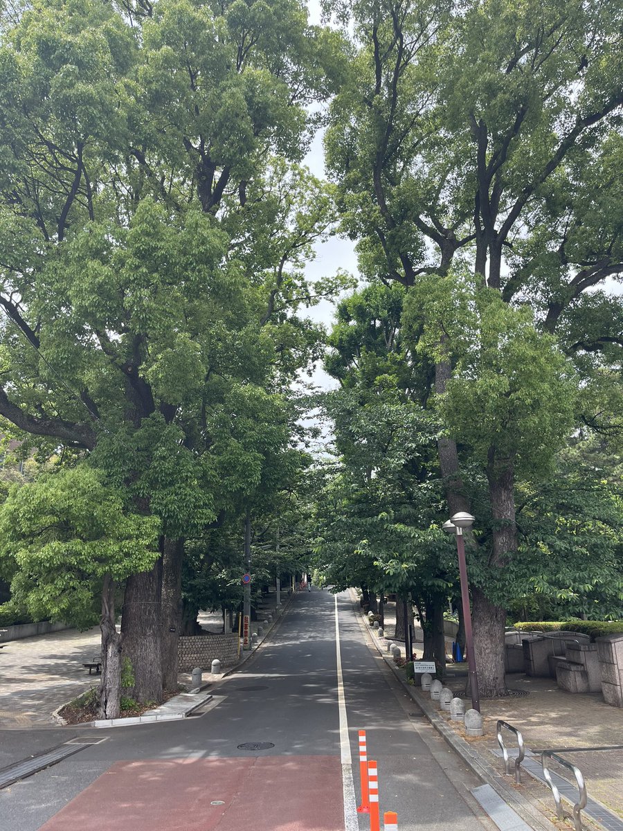 KARUS780096's tweet photo. 御殿山の坂道 https://t.co/OU7HckQ3WU
