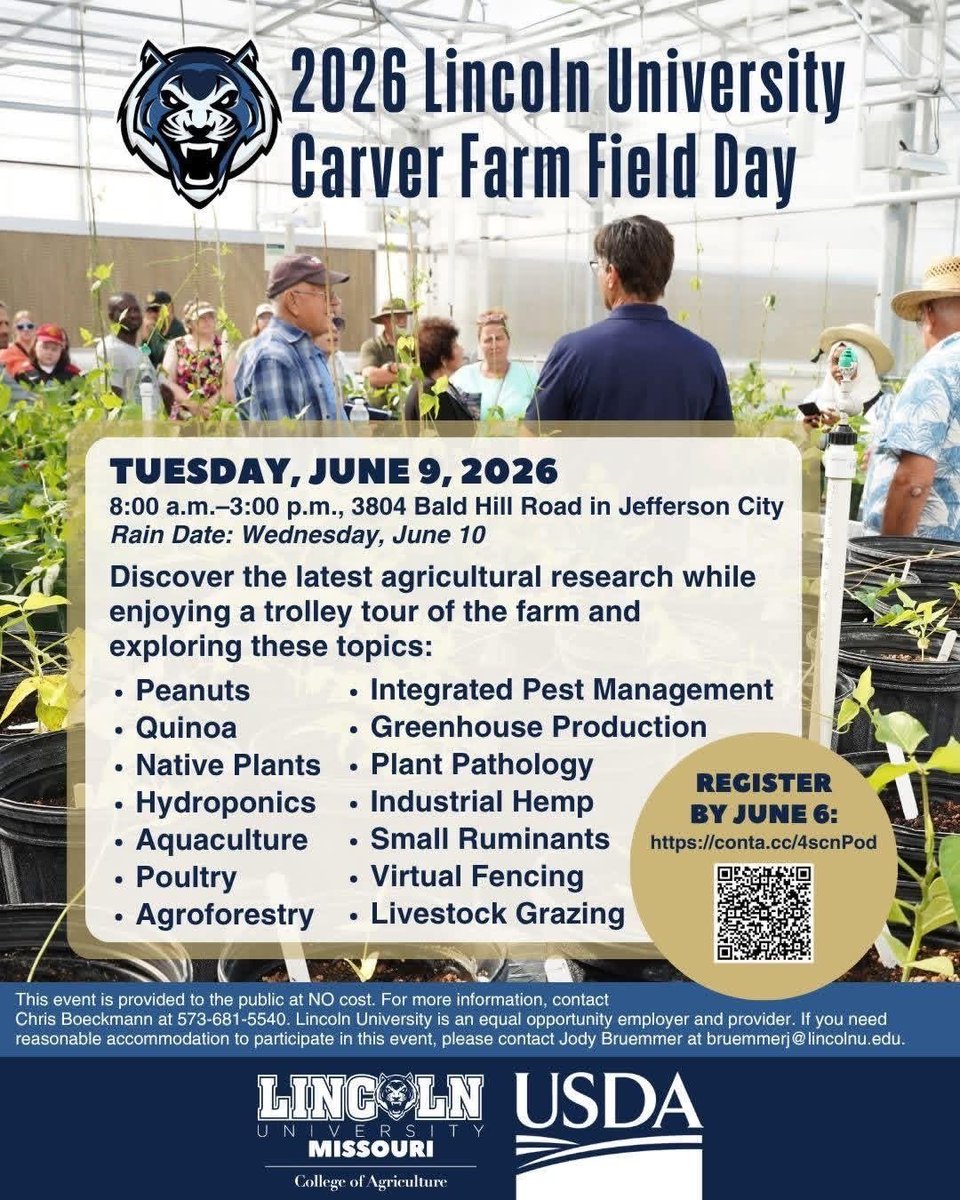 LUBlueTigers's tweet photo. ⏰ Register now for Carver Farm Field Day in Jefferson City! Join us on Tuesday, June 9 (8 a.m to 3 p.m.) for wagon trolley tours and the latest in agricultural research. 🌾 

💵 Cost: FREE (Lunch included!) 
🗓️ Register by June 6: https://t.co/s4213rrL7e

#AgInnovation #LUCAEHS https://t.co/wxkNFOvEaw