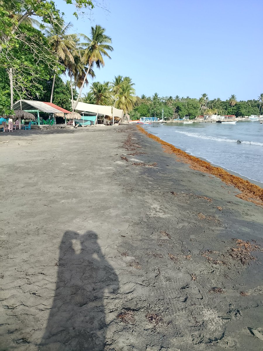 Atilaskybart's tweet photo. ⚠️ ¿Sera verdad qué las harenas de Las Dunas De Bani, las están moviendo a varias “Playas Privadas” en confabulasión del funcionarios que tambien se lucran de espacios publicos?🚩 

#SOSRD🇩🇴 https://t.co/jO19nQDG8B