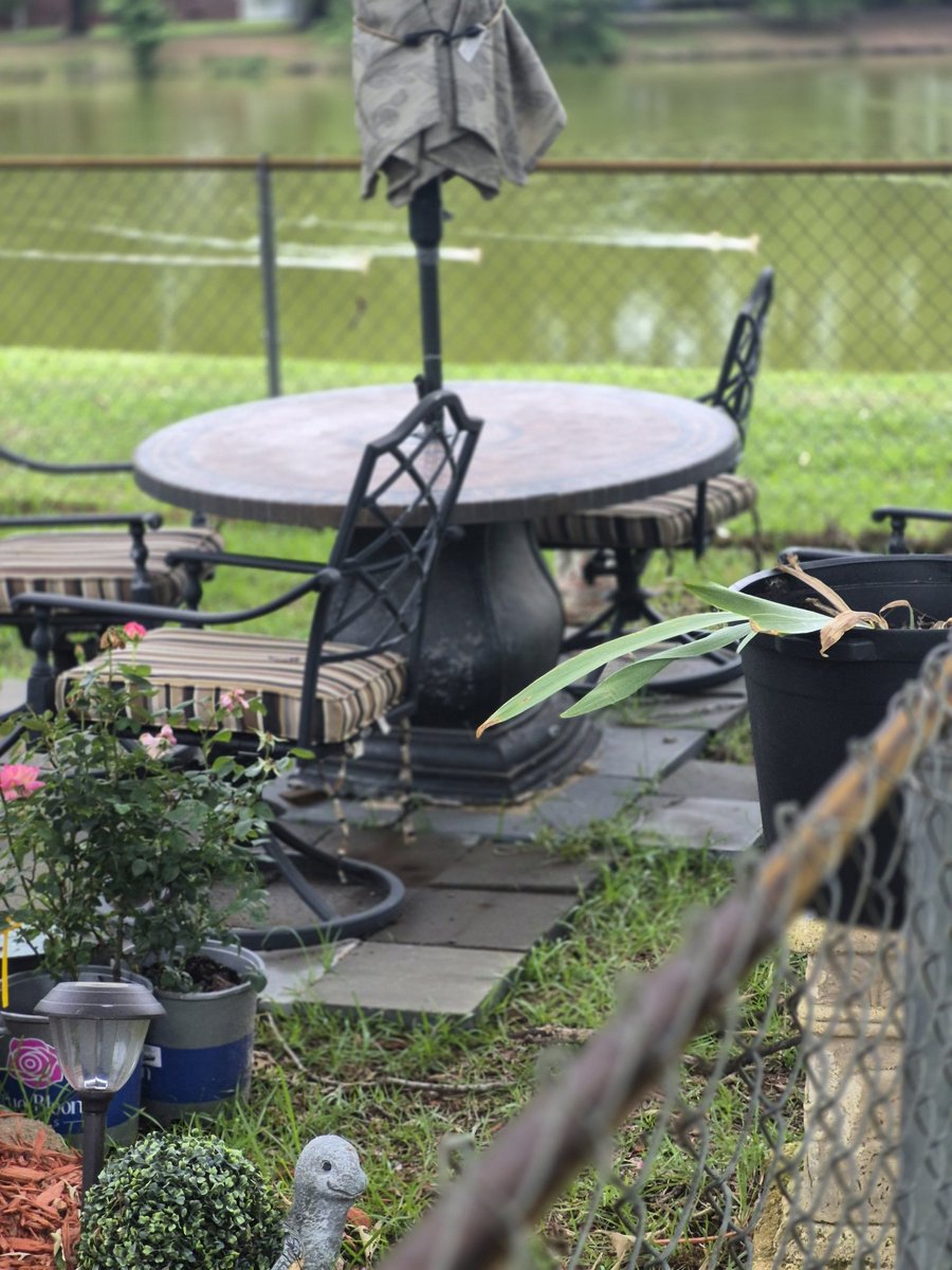RevRaymondJ's tweet photo. Good afternoon, everyone I sure Thank God for the rain. Because my grass is really growing and pretty And green, I spend $180 last month For my water bill for the sprinkler, just sitting on the back porch Watching the ducks swim in the pond. Hope everyone's having a wonderful day https://t.co/HJAjCeIDHR