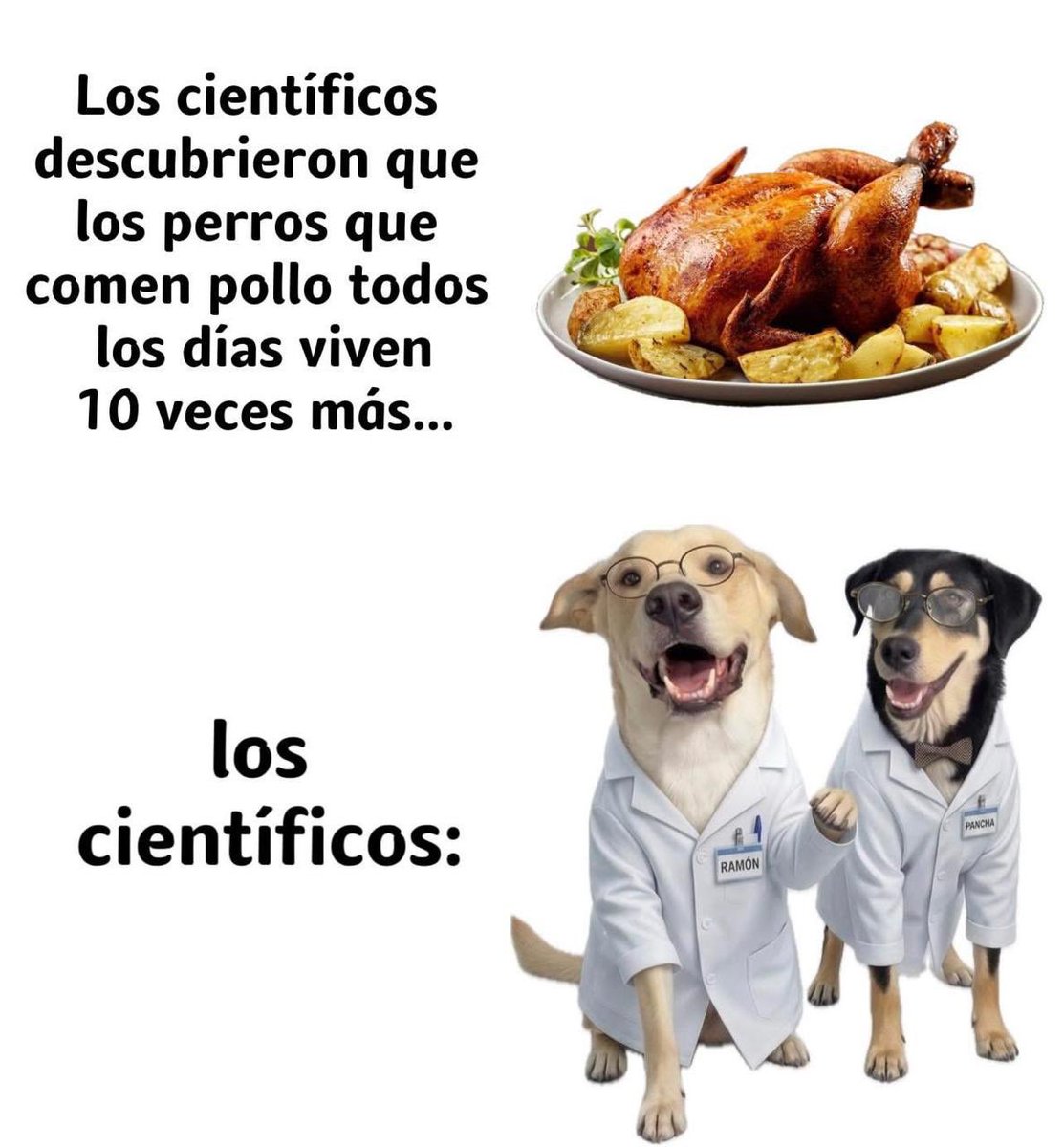 dullegret's tweet photo. @El_Gasper @jcholby #gabbagabba gracias por la confirmación Gabriel, creo que era por que que venía en el honorable metro lineal 2 👉🏽😭😭😭

Por favor hablen del rigor científico de esta nota canina 👇🏽😯 https://t.co/2h7gFApd4R