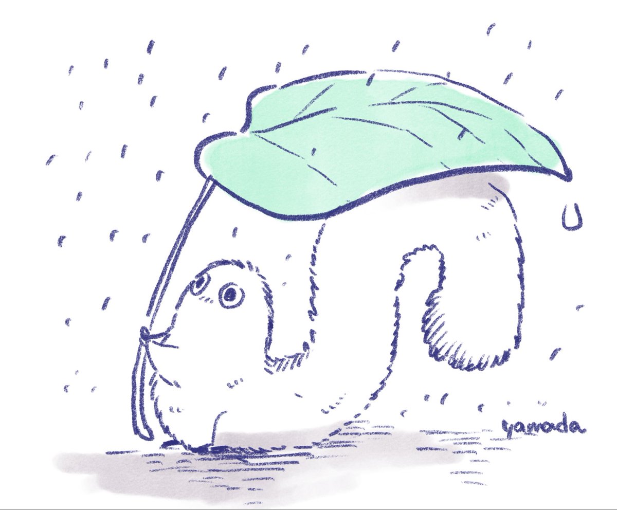 yamada_trk's tweet photo. オハーギオ！(代理フデムシ)
雨ですね☔️
無事に台風が過ぎますように https://t.co/pfHmaQfiFy