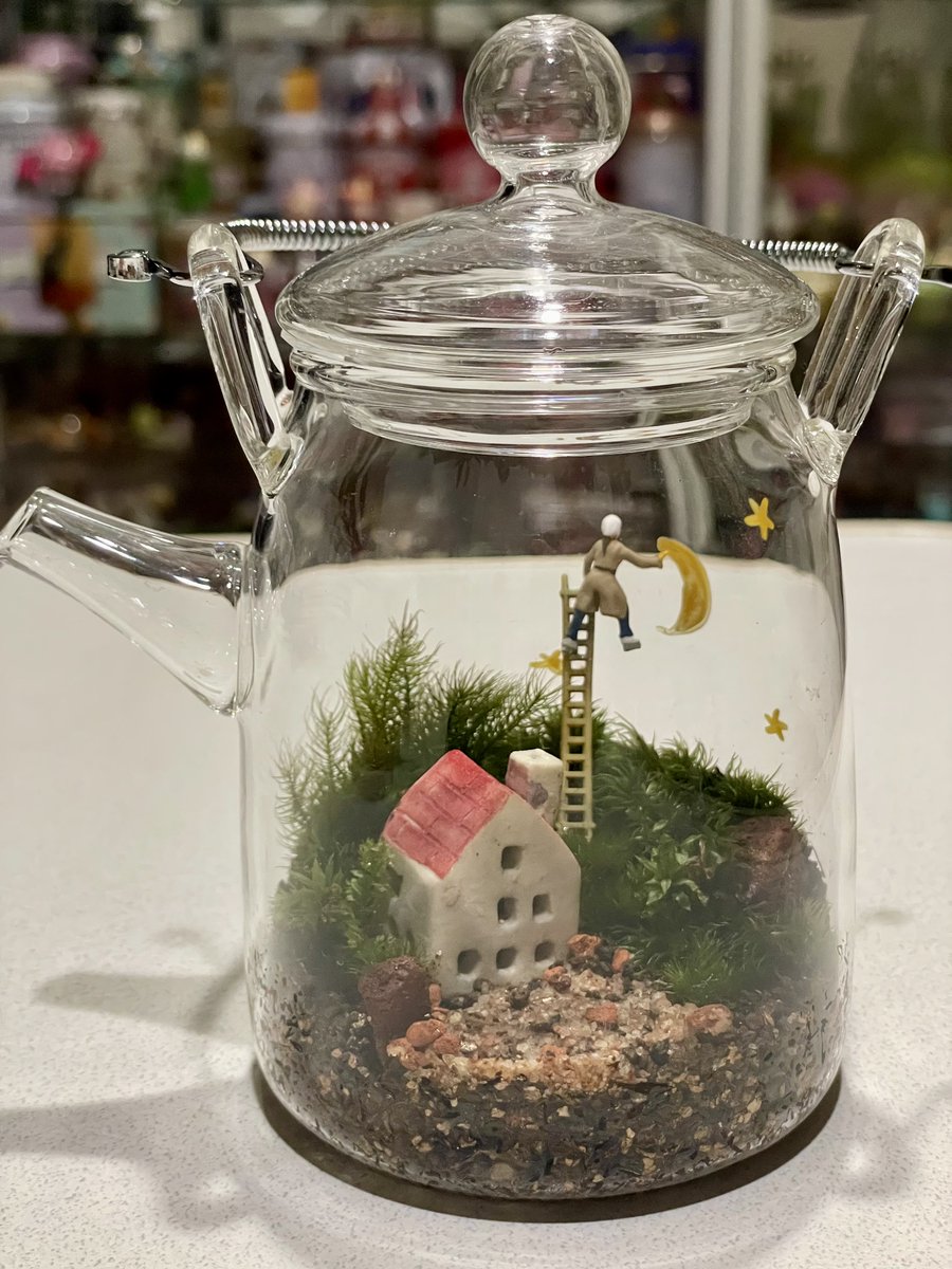 kuroikooo's tweet photo. デザフェス戦利品！お迎えした苔テラリウムが可愛すぎる😍

赤い屋根のお家も月を描いて夜を迎えようとしているお姉さんもじつはお家がライトになってるのもすべてが可愛い…
はじめての苔テラリウムだから元気に育ってくれますように！ https://t.co/tjcdrATNvq