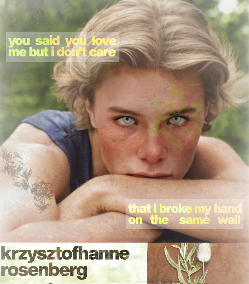 Krissie , tweet media