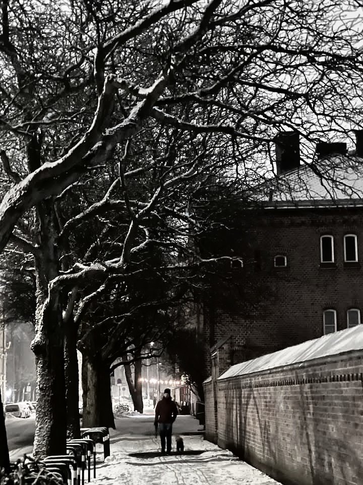 baardy69's tweet photo. Torshovgata v/Lilleborg skole, Oslo https://t.co/pqA0bIAkj7