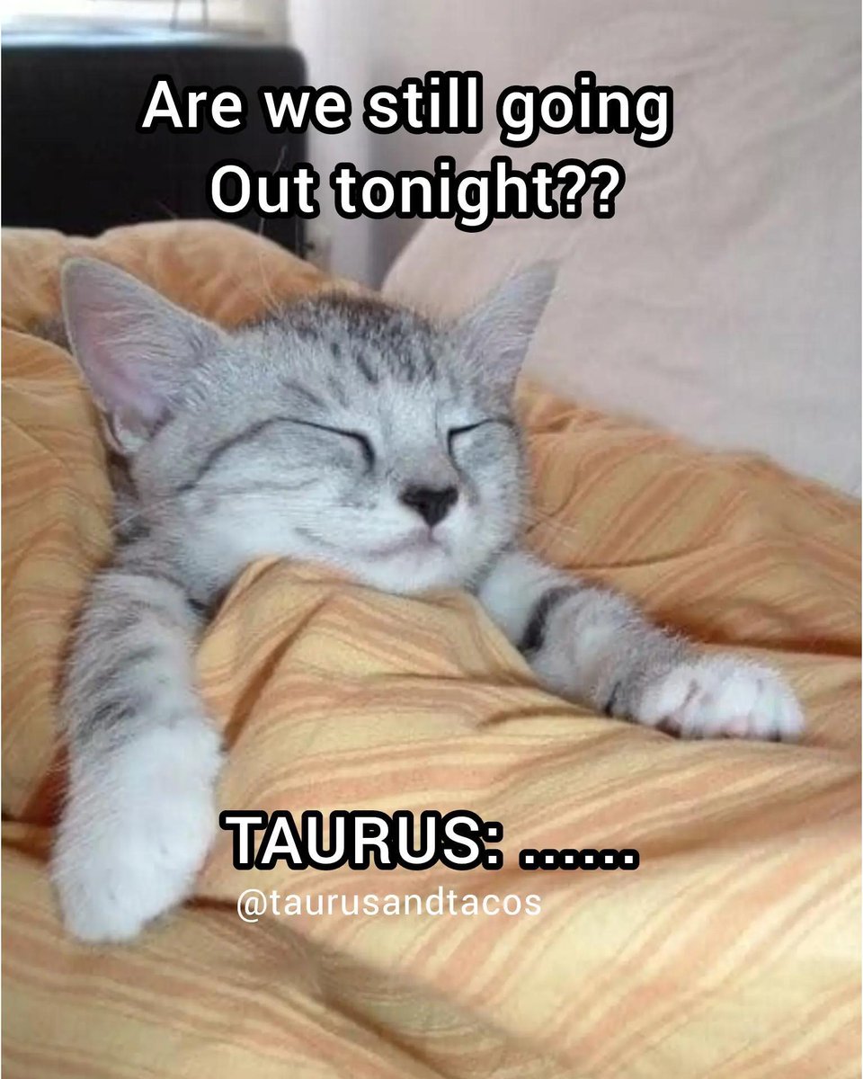 TaurusWorld_'s tweet photo. umm.. bed is calling https://t.co/mOCYzCsKOK