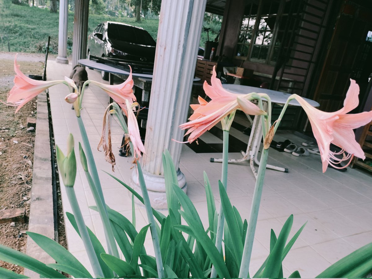 AbbruzziAnna's tweet photo. Morning 🌞 https://t.co/ZymwSvJ2vC