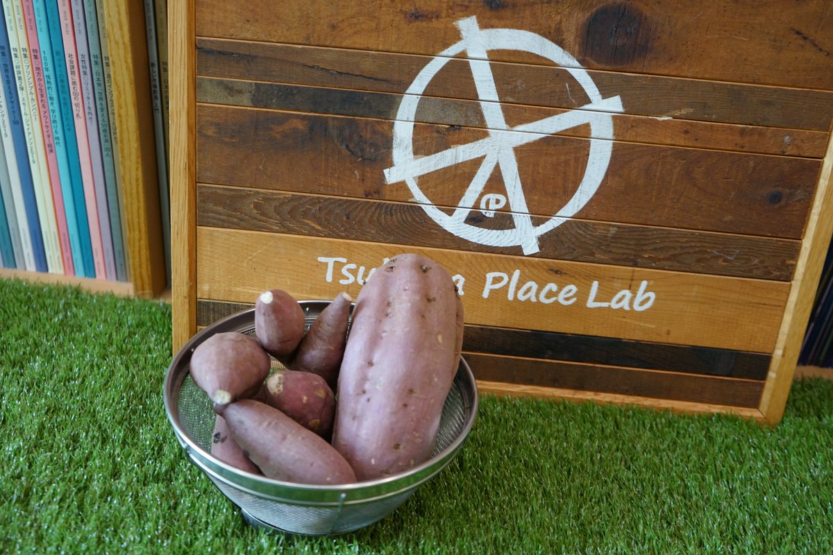 TsukubaPlaceLab's tweet photo. 【本日、どうぞご安全に！】
おはようございます！#有機さつまいもが届いたコワーキングスペース Tsukuba Place Labです！
本日、さまざまな学校が休校のようですが、筑波大学は休校になったのでしょうか…。
Labは8:30-20:30通常営業です！ https://t.co/aGdx9NHpZ9