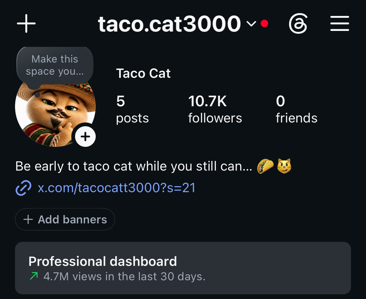 Taco Cat (@tacocatt3000) / Posts / X