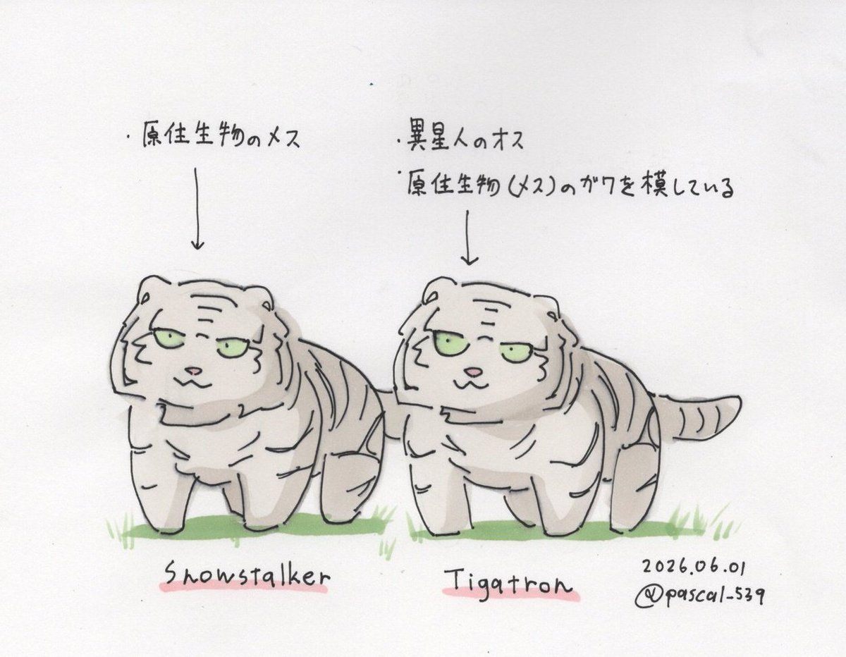 pascal_539's tweet photo. トラジローさんは原語版だと雌って本当ですか？
おっさんが美女のガワを借りるなんて、タイガトロンはFGO(Fate/Grand Order)のキャラみたいですね。
#ござるおじさん #tigatron https://t.co/sIitFdbjf0