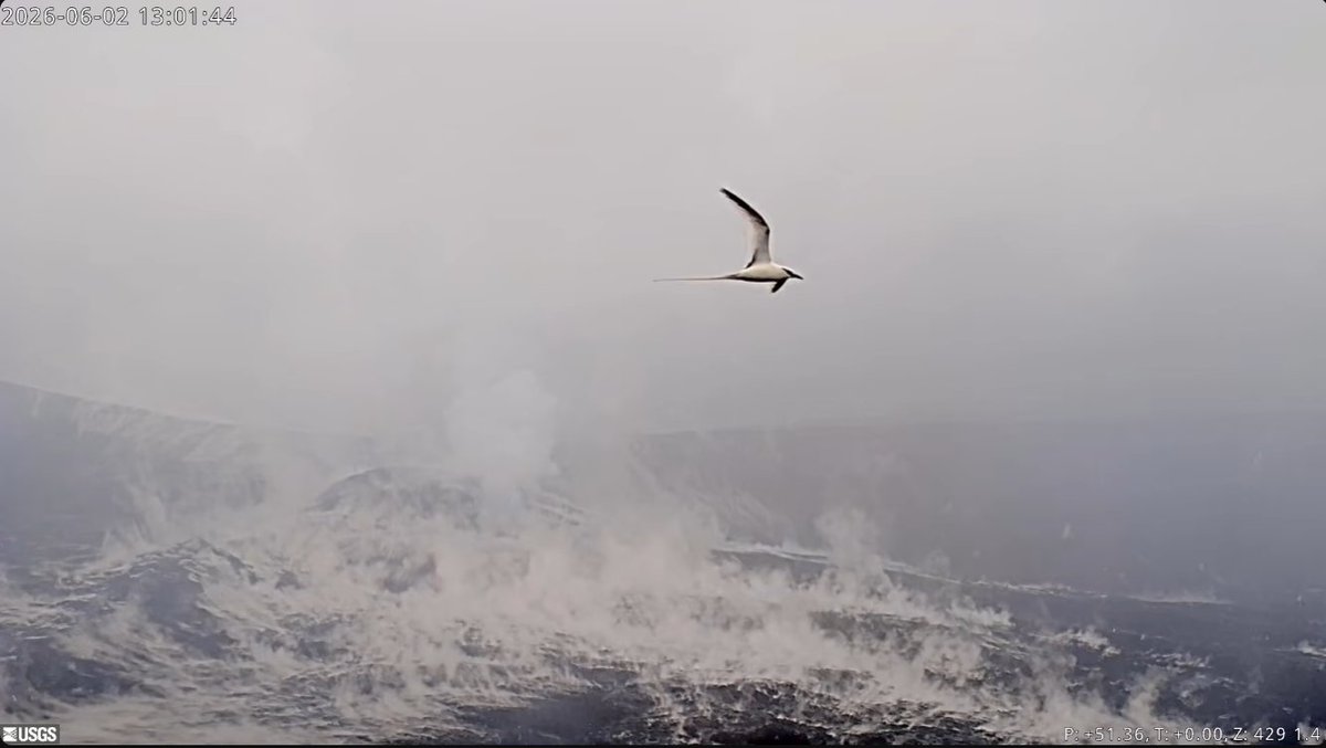 HVERI_org's tweet photo. Episode 49 Likely

HVO/USGS DAILY UPDATE
Tuesday, June 2, 2026, 12:46 PM HST

Lava fountains of episode 48 occurred for 9 hours from 4:40 a.m. to 1:37 p.m. HST on June 1 from within Halemaʻumaʻu in the summit region of Kīlauea volcano. 

Full write-up: https://t.co/RbwWcIeVJY https://t.co/MSmxtGKFZO