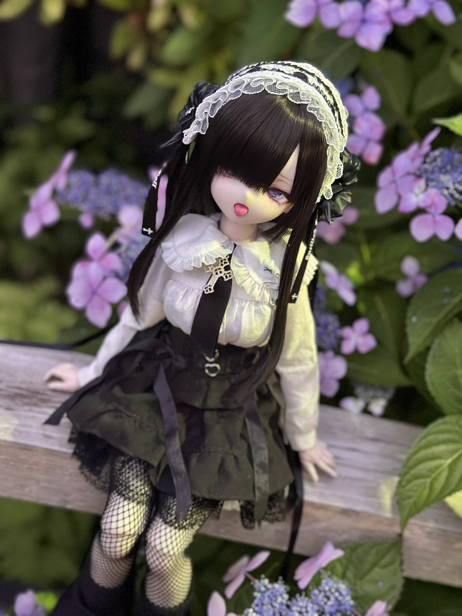Meirdoll's tweet photo. 紫陽花と五月雨とドロシーと

#おはドル #さんかくっ子 ☔️🌧͛💠 https://t.co/giZJtiVwCv