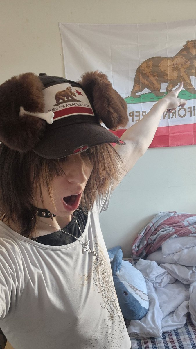 dumbdogaccount's tweet photo. Happy pride month this is my pride flag! :D 🏳️‍⚧️🏳️‍⚧️ https://t.co/Y9xiPjsg1a