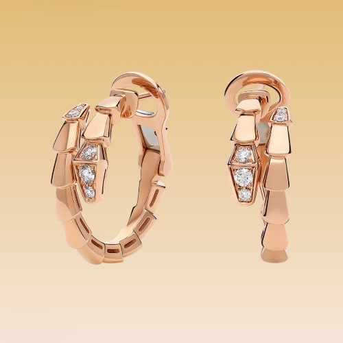 labeloiseau's tweet photo. I just received a contribution towards BVLGARI Serpenti Earrings from vincent2019 via Throne.  https://t.co/O4WmbCGK5x https://t.co/fnzRBHTJrM