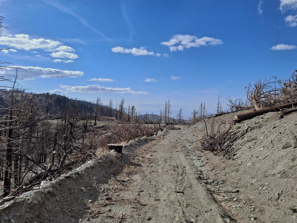 gabfrab's tweet photo. hiked through a big burn https://t.co/DOx14Tpp2M