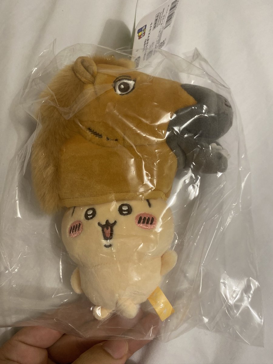 Posada_1020's tweet photo. 大悲報！！韓服的烏薩奇賣完了，我回台灣的隔天才有補貨，但是韓國姊姊說願意幫我買帶來台灣（超開心）買到最ㄎㄧㄤ的馬頭烏薩奇了！
#教官看這邊 https://t.co/eOGS5n0iz5