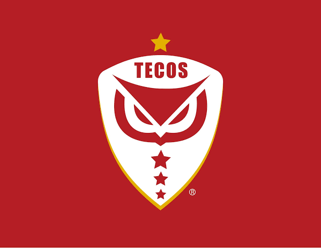History_LigaMX's tweet photo. Oficialmente desaparece Tecos de la UAG. 

Tras 71 años el club ha informado a su plantel que no seguirá participando en la Liga Premier FMF. 

En 2012 al descender fueron comprados por Grupo Pachuca y los convirtieron en Mineros. 

En 2015 volvieron a la 3° división. https://t.co/H57iJnbc86