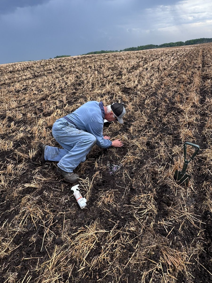 AtomJetAg's tweet photo. Back out in the field between rain showers to check seed and fertilizer placement on some prototype products!!!

 #Agriculture  #Farming  #prototype https://t.co/hzGW86ObFg