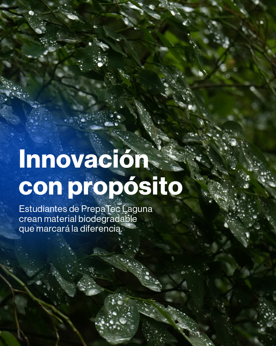 TecdeMonterrey's tweet photo. Convertir residuos en innovación con impacto real. 🌱✨

Un grupo de estudiantes del Tecnológico de Monterrey desarrolló un material biodegradable a partir de residuos orgánicos, proyecto que hoy les ha valido una distinción nacional por su potencial sostenible e innovador.
Más allá de crear un material, están demostrando cómo la ciencia, la creatividad y el propósito pueden generar soluciones para los retos ambientales del presente y del futuro. 🚀♻️
