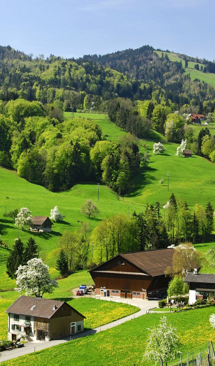 EarthhExplorer's tweet photo. Looking at beautiful nature soothes the eyes, heart, and mind.

I want people to feel good and happy when they see my post.
Have a nice day https://t.co/SQY8jk5a7W