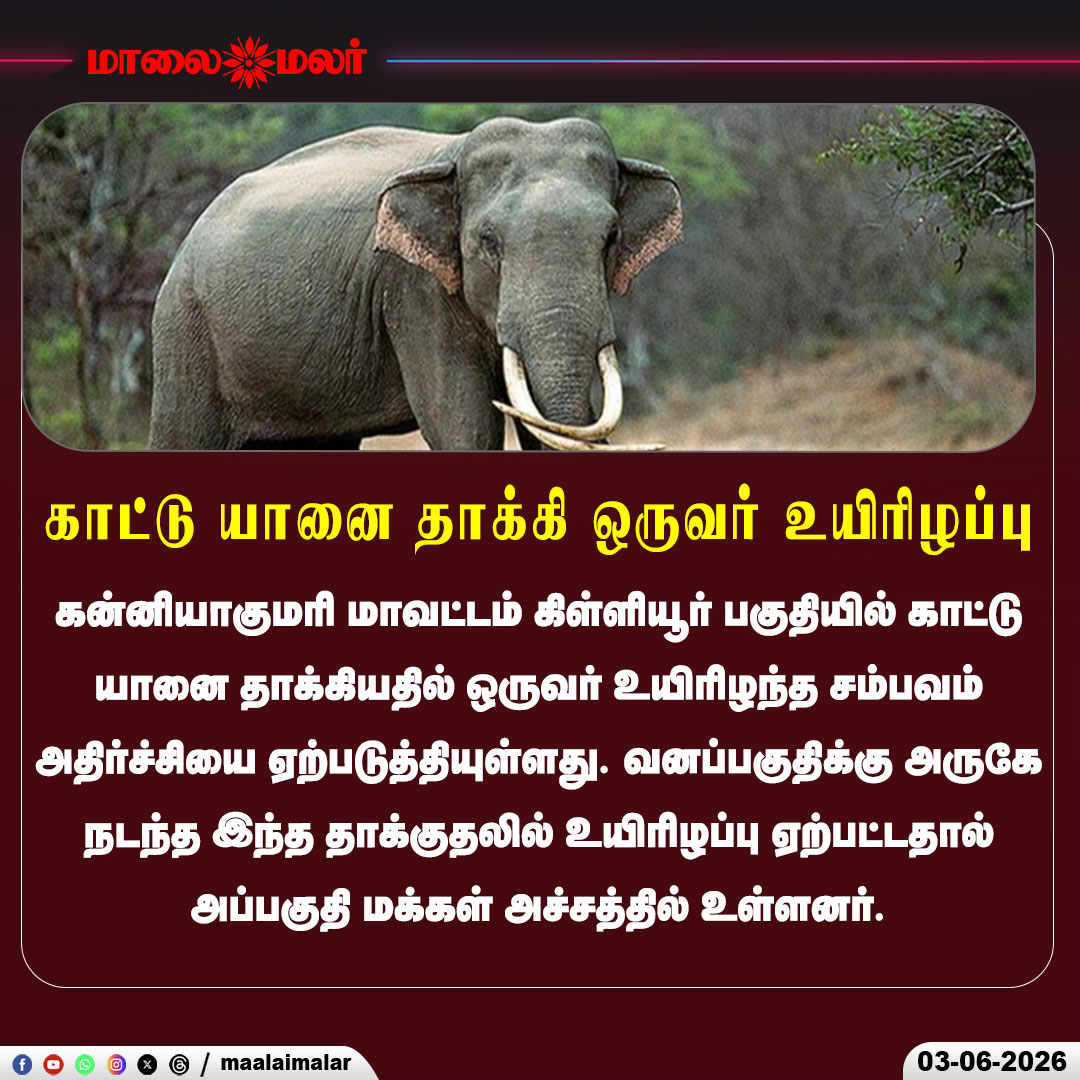 maalaimalar's tweet photo. கன்னியாகுமரியில் காட்டு யானை தாக்கி ஒருவர் உயிரிழப்பு

#WildElephantAttack #Kanyakumari #Killiur #BreakingNews #TamilNews #ForestAttack #HumanWildlifeConflict #TragicNews #Maalaimalar https://t.co/Dm1SPLwb3Z
