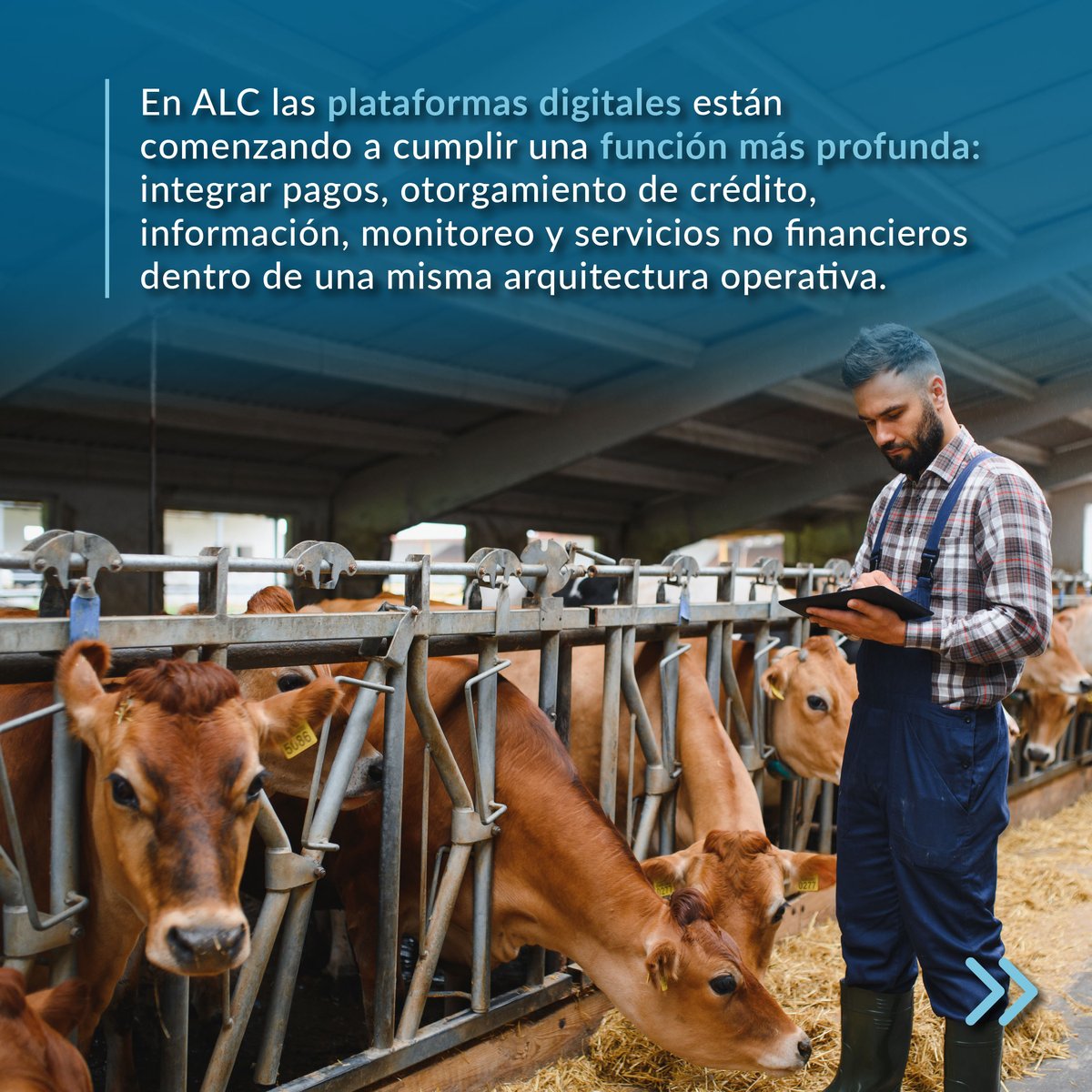 _ALIDE_'s tweet photo. 📚 #RevistaALIDE | Transformación digital en la Banca de Desarrollo 💻📊
El artículo explora cómo las plataformas tecnológicas fortalecen la gestión, la toma de decisiones y el acceso al financiamiento en #ALC 🌎

📖 ES: https://t.co/wh7uWBX5Mv
📖 EN: https://t.co/DNn37sICIl https://t.co/vJJKbFnTY5