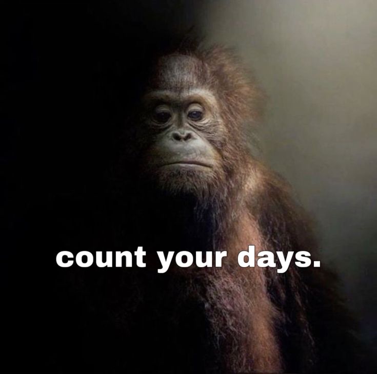 Shai67z's tweet photo. A message to every league enjoyer out there. https://t.co/AOLKE6WIat