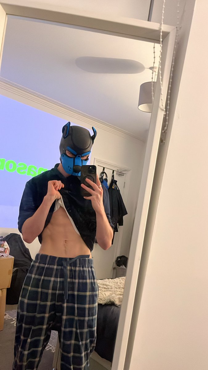 RexterPup's tweet photo. Movie night - pending https://t.co/qWEgC37NZa