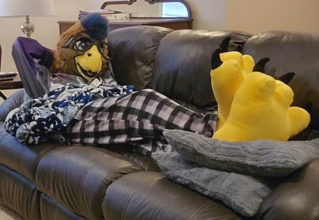 DonderHawk's tweet photo. Chillin with the paws up after a long day on my feet
#TalonTuesday https://t.co/ttVEEMxUcj